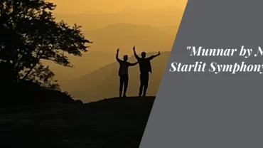 “Munnar by Night: A Starlit Symphony in the Hills”