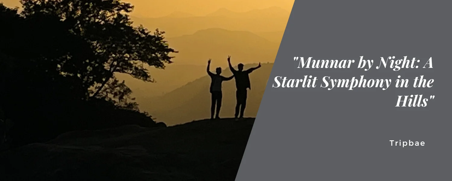 “Munnar by Night: A Starlit Symphony in the Hills”