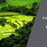Coorg to Bangalore: A Journey from the Coffee Estates to the Silicon Valley