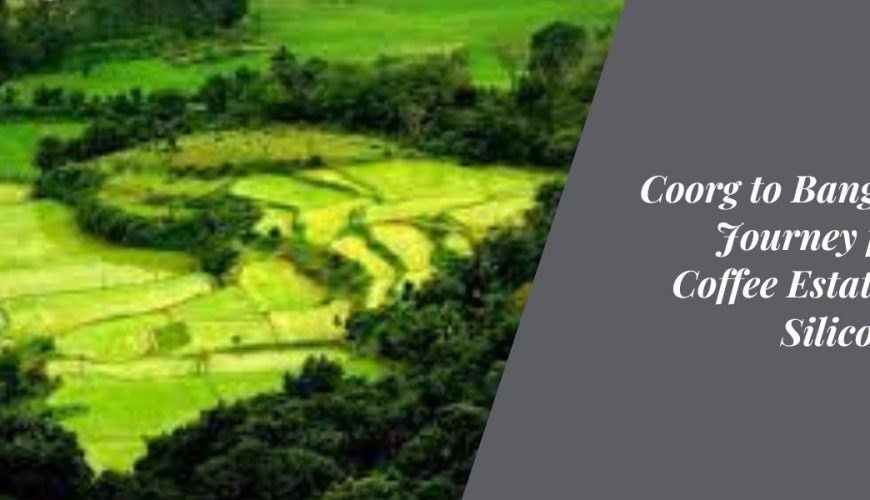 Coorg to Bangalore: A Journey from the Coffee Estates to the Silicon Valley