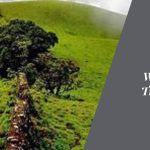 Discovering the Wilderness Bandaje Trek from Bangalore