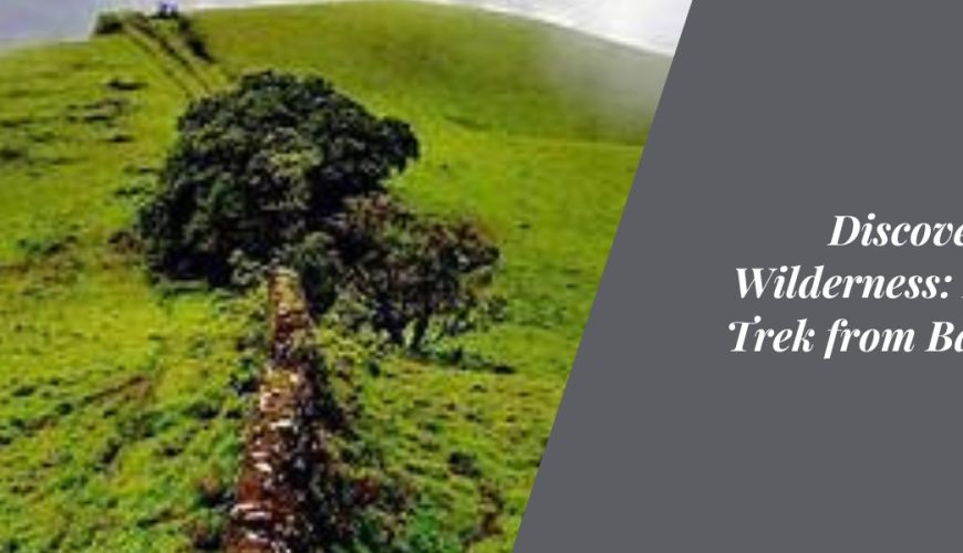 Discovering the Wilderness Bandaje Trek from Bangalore