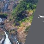 Dudhsagar Falls Goa's Majestic Cascade of Milk