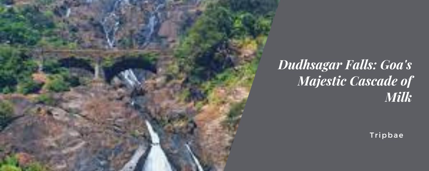 Dudhsagar Falls Goa's Majestic Cascade of Milk