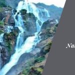 Dudhsagar Falls Package Dive into Nature's Milky Marvel