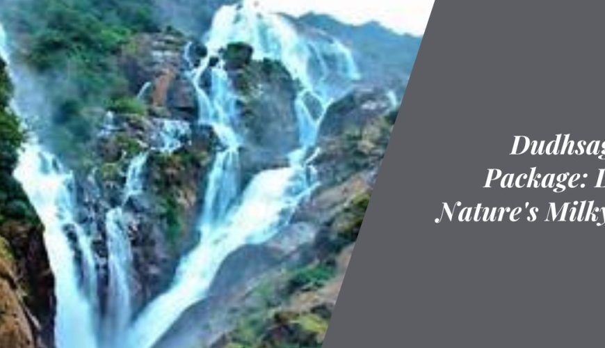 Dudhsagar Falls Package Dive into Nature's Milky Marvel