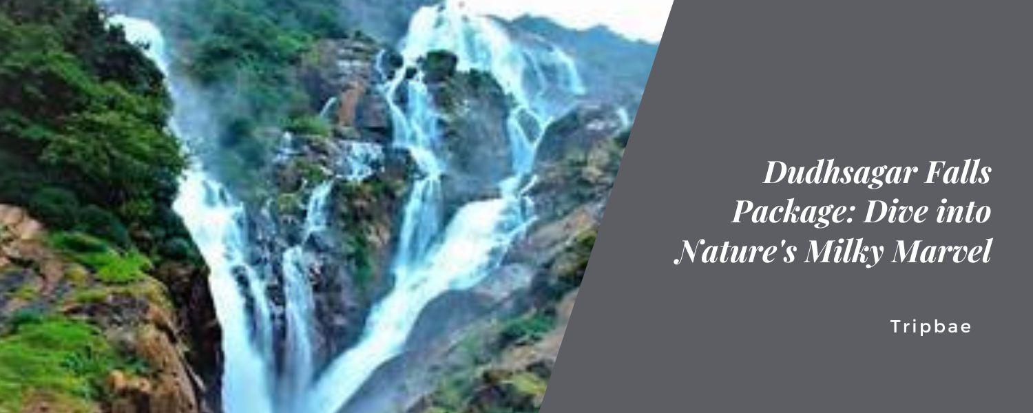 Dudhsagar Falls Package Dive into Nature's Milky Marvel