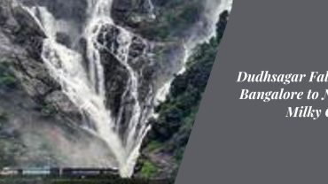 Dudhsagar Falls Trek: Bangalore to Nature's Milky Cascade