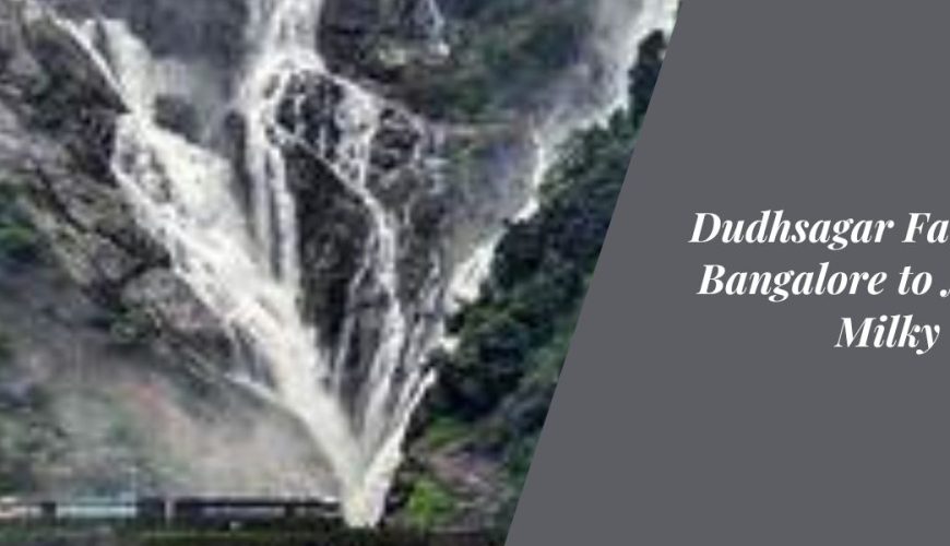 Dudhsagar Falls Trek: Bangalore to Nature's Milky Cascade