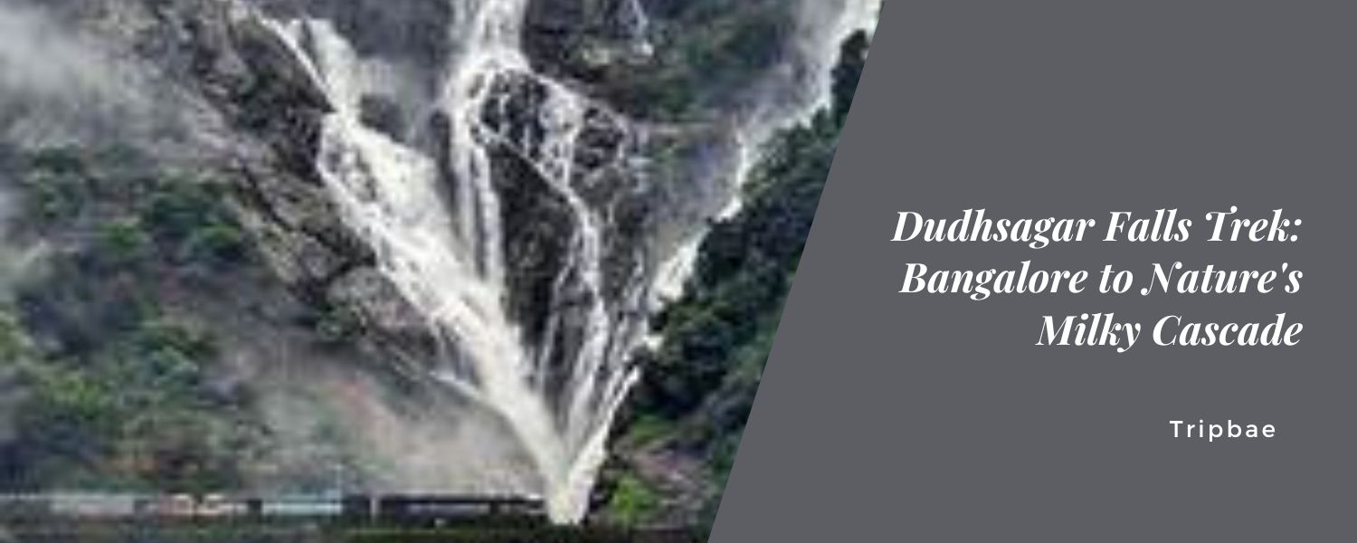 Dudhsagar Falls Trek: Bangalore to Nature's Milky Cascade