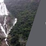 Dudhsagar Falls: When Milky Waters Flow the Fullest