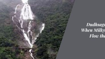 Dudhsagar Falls: When Milky Waters Flow the Fullest
