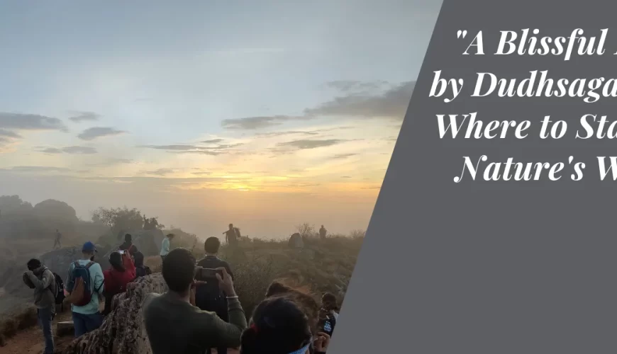 “A Blissful Retreat by Dudhsagar Falls: Where to Stay Near Nature’s Wonder”