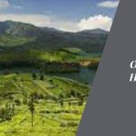 From Bangalore to Ooty: Charting Your Hill Station Getaway