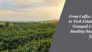 From Coffee Estates to Tech Estates The Tranquil Coorg to Bustling Bangalore Journey