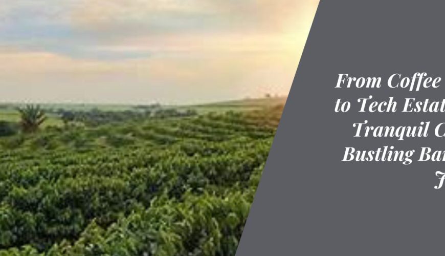 From Coffee Estates to Tech Estates The Tranquil Coorg to Bustling Bangalore Journey