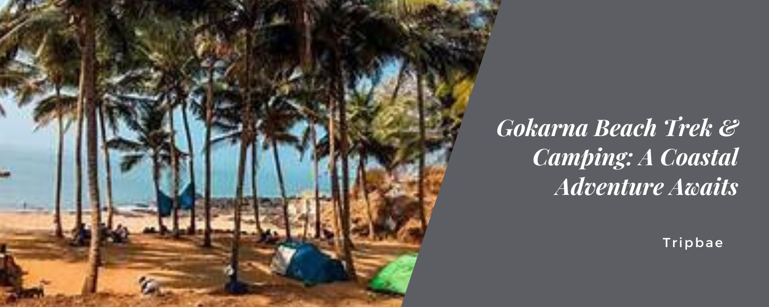 Gokarna Beach Trek & Camping: A Coastal Adventure Awaits