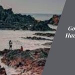 Gokarna: The Coastal Haven Beyond Beaches