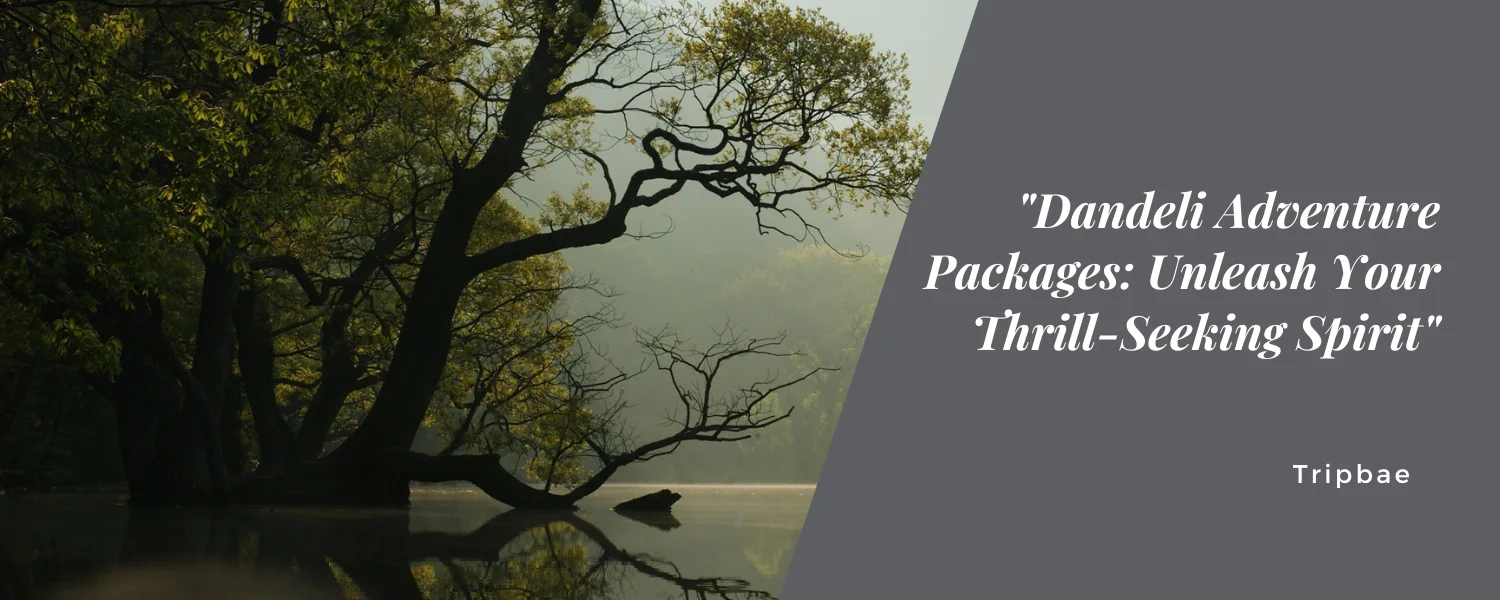 “Dandeli Adventure Packages: Unleash Your Thrill-Seeking Spirit”