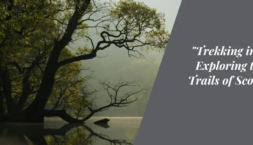 “Trekking in Coorg: Exploring the Lush Trails of Scotland of India”