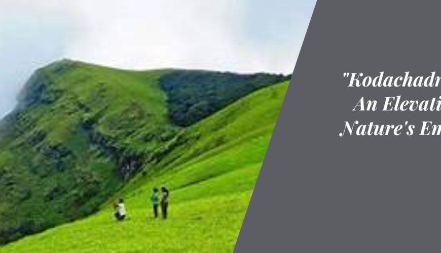 "Kodachadri Peak: An Elevation into Nature's Embrace"
