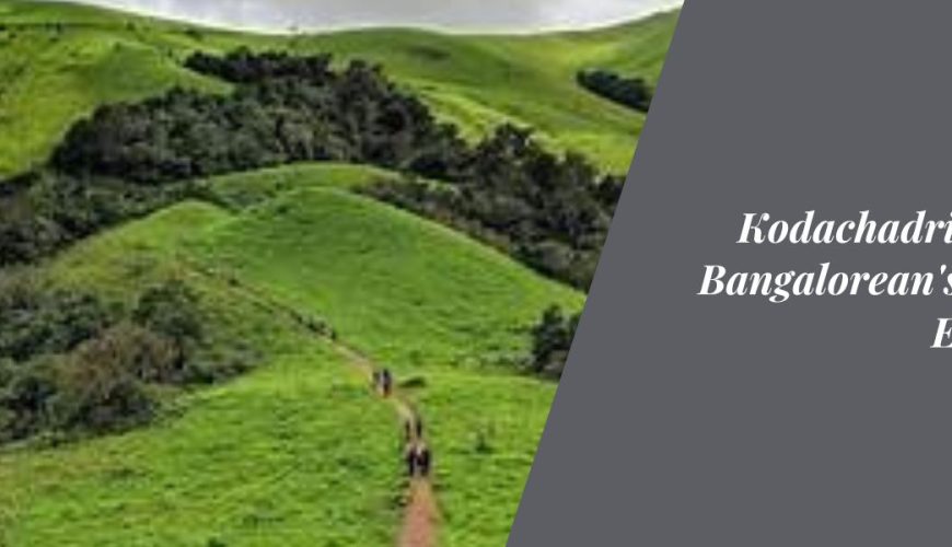 Kodachadri Trek: A Bangalorean's Nature Escapade
