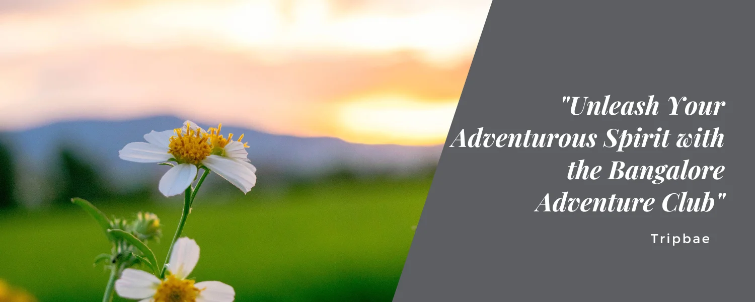 “Unleash Your Adventurous Spirit with the Bangalore Adventure Club”