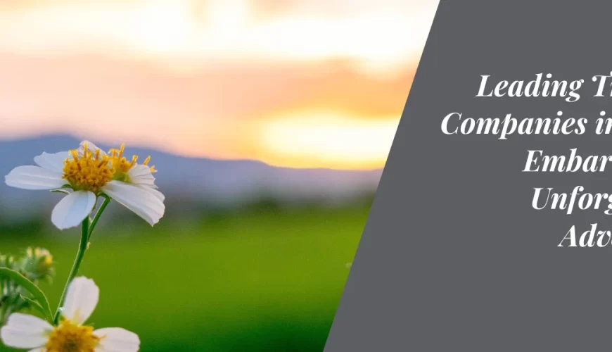 Leading Trekking Companies in India: Embarking on Unforgettable Adventures