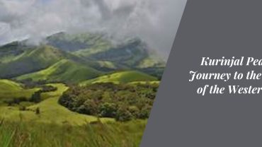 Kurinjal Peak Trek: Journey to the Skyline of the Western Ghats