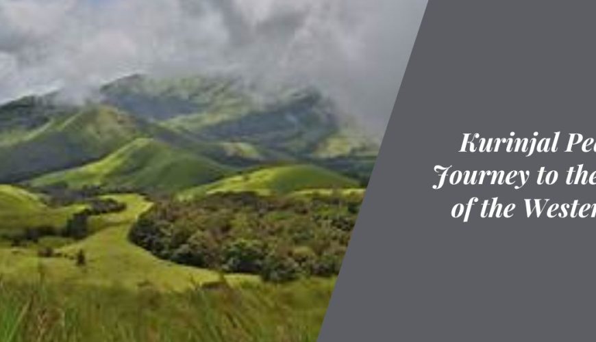 Kurinjal Peak Trek: Journey to the Skyline of the Western Ghats