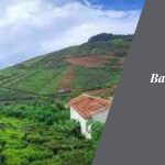 Navigating from Bangalore to Coorg: A Tranquil Getaway