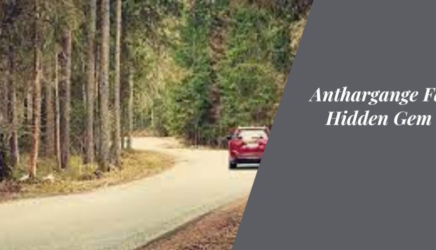 Navigating from Bangalore to Ooty: A Traveler's Guide