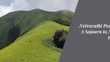 Netravathi Peak Trek: A Sojourn to Nature's Pinnacle