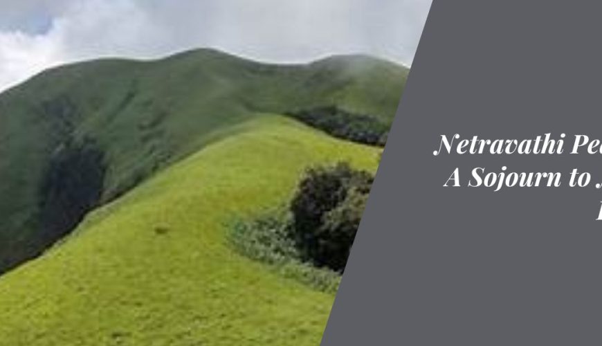 Netravathi Peak Trek: A Sojourn to Nature's Pinnacle