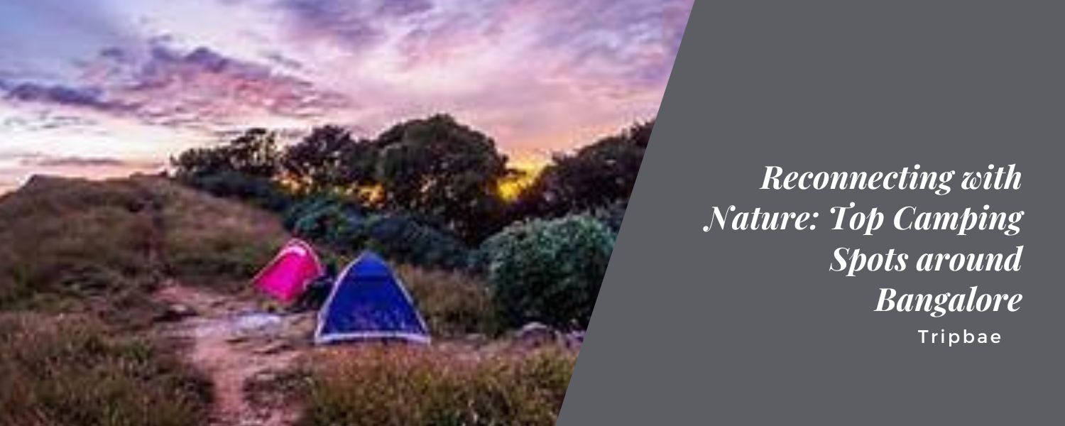 Reconnecting with Nature: Top Camping Spots around Bangalore