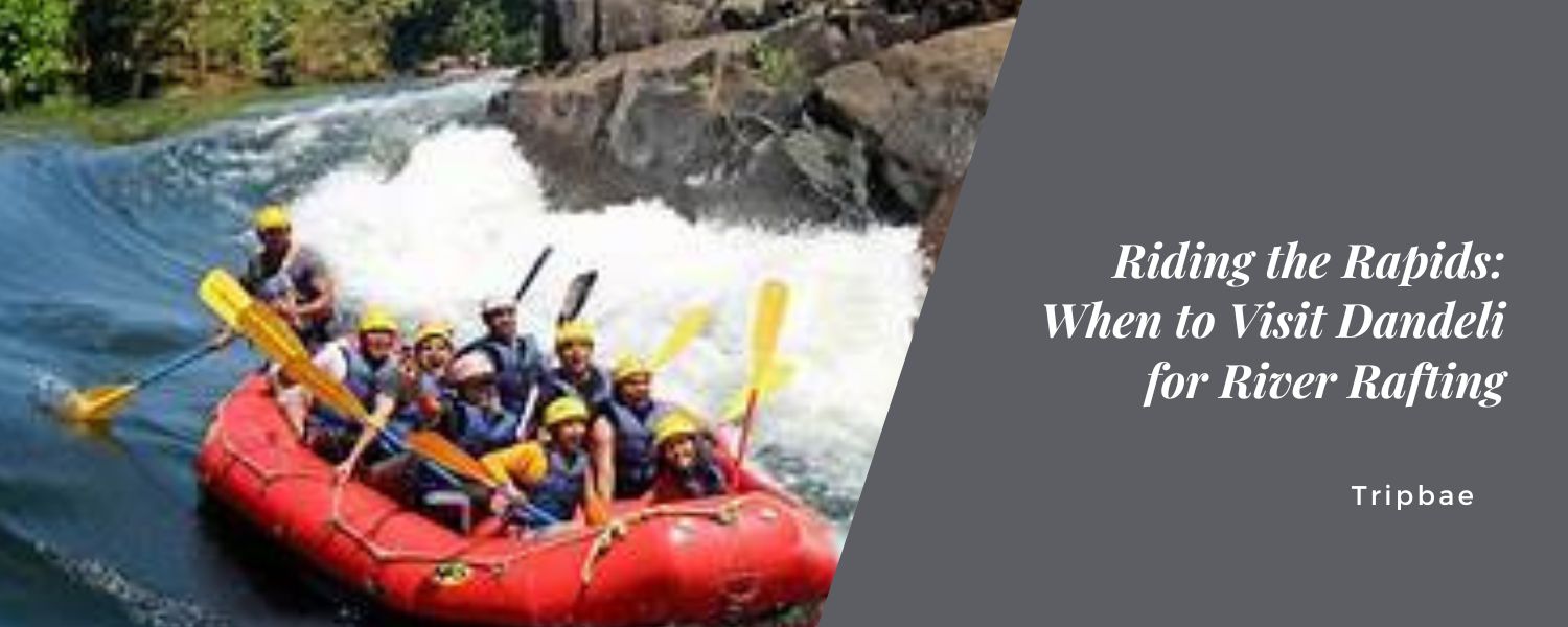 Riding the Rapids: When to Visit Dandeli for River Rafting