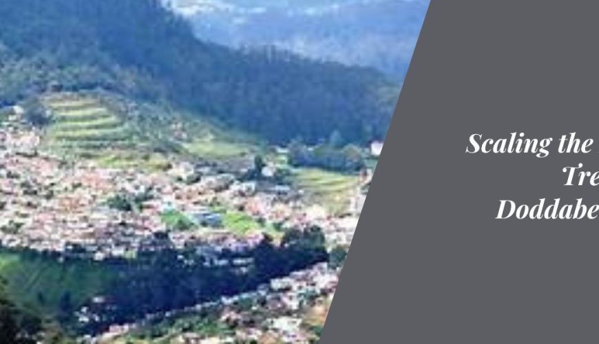 Scaling the Heights: Trekking to Doddabetta Peak