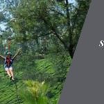 Soaring Through the Skies: Ziplining in Munnar