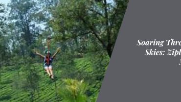 Soaring Through the Skies: Ziplining in Munnar