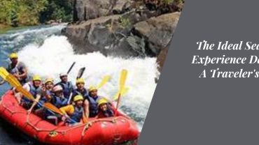 The Ideal Season to Experience Dandeli: A Traveler's Guide