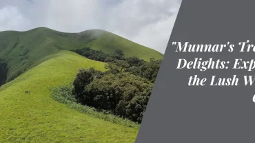 “Munnar’s Trekking Delights: Exploring the Lush Western Ghats”