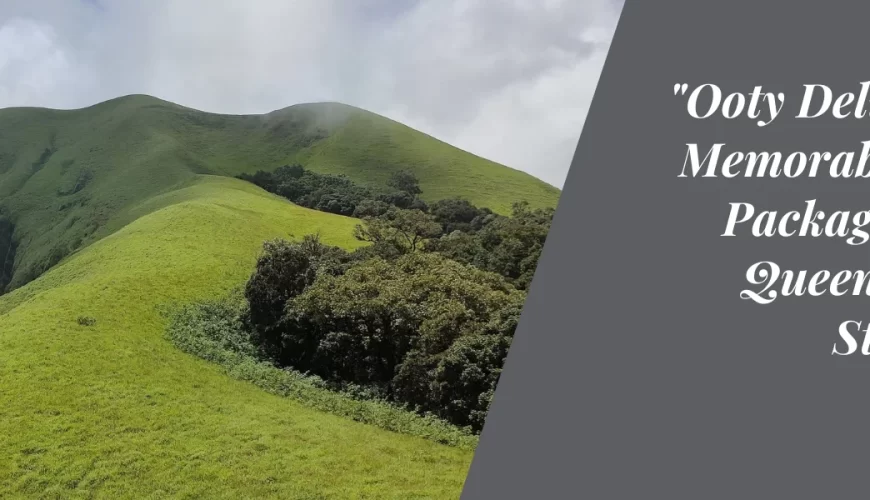 “Ooty Delights: A Memorable Trip Package to the Queen of Hill Stations”