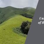 Unraveling the Secrets of the Netravathi Trek A Journey into Nature's Heart