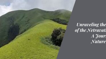 Unraveling the Secrets of the Netravathi Trek A Journey into Nature's Heart