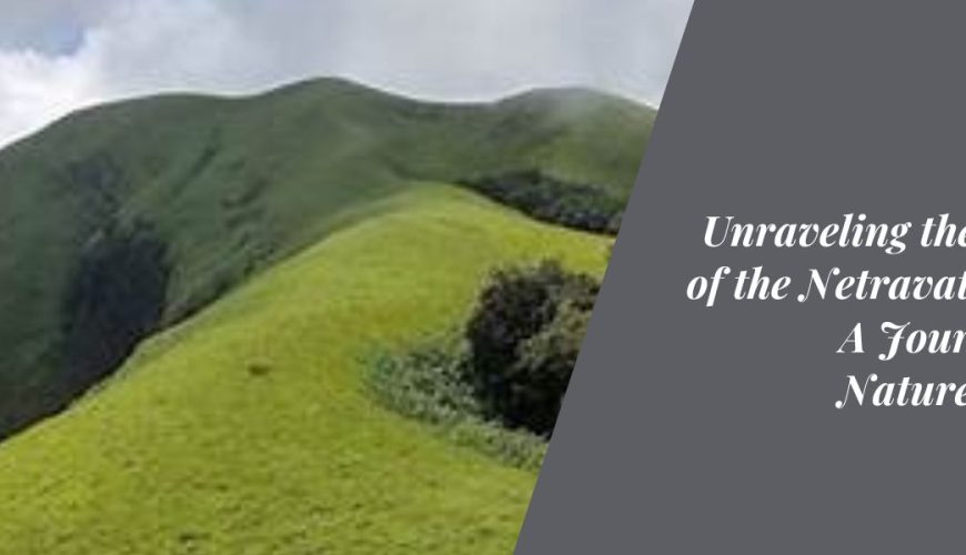 Unraveling the Secrets of the Netravathi Trek A Journey into Nature's Heart