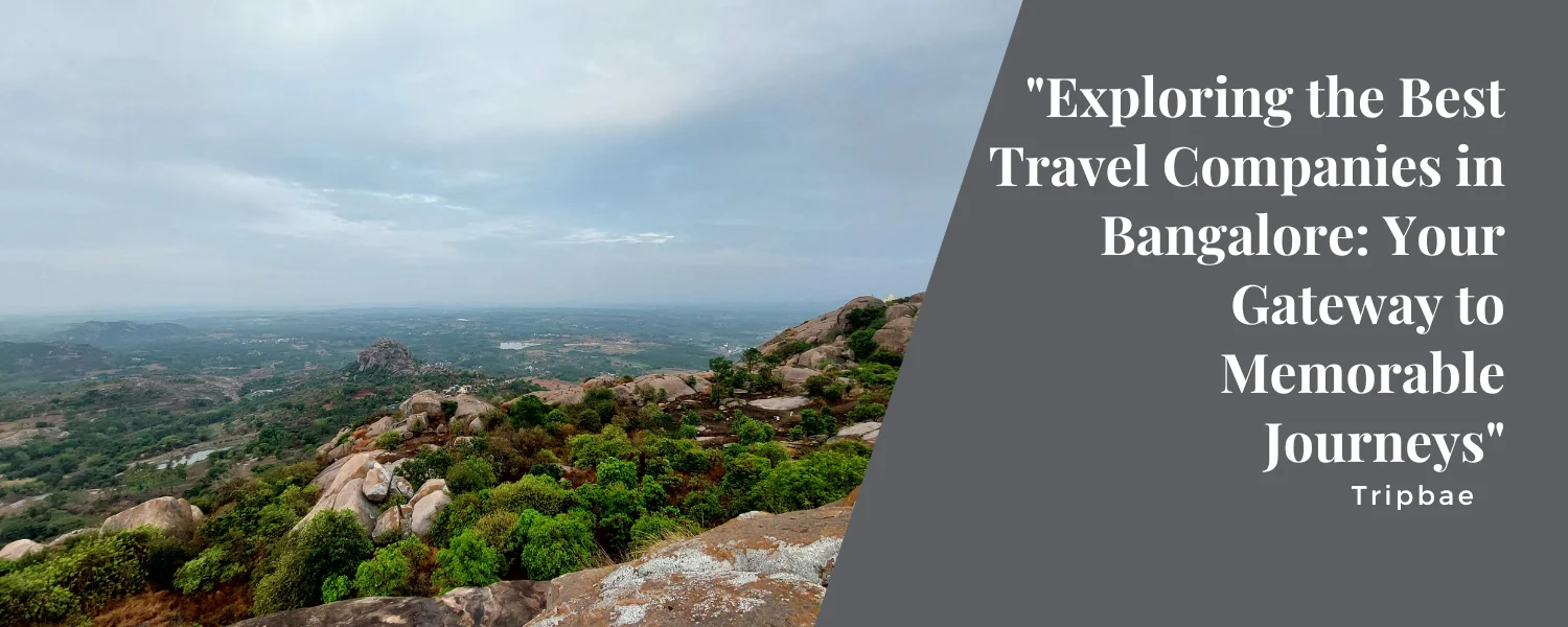 “Exploring the Best Travel Companies in Bangalore: Your Gateway to Memorable Journeys”