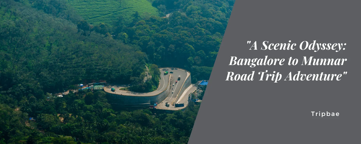 “A Scenic Odyssey: Bangalore to Munnar Road Trip Adventure”