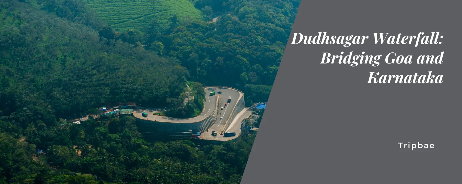 Dudhsagar Waterfall: Bridging Goa and Karnataka