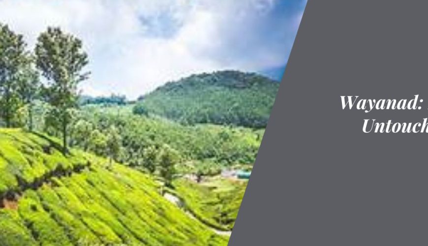 Wayanad: Kerala's Untouched Eden