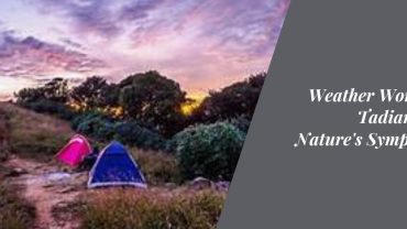 Weather Wonders of Tadiandamol: Nature's Symphony in Coorg